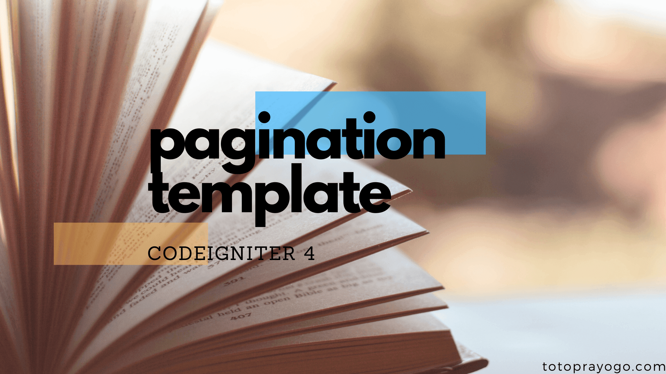 banner-pagination